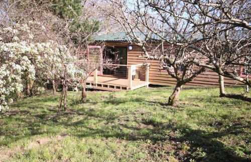 Helnoweth Lodge - Photo 33