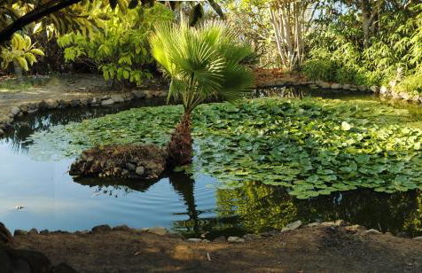 Apartments Finca El Rincón - Foto 28