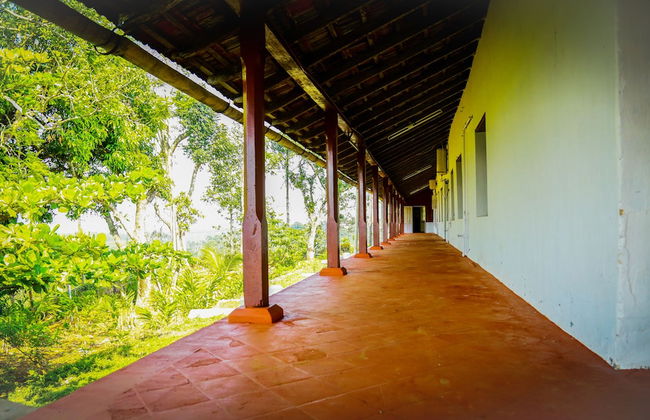 Standard Double Room-wayanad - Foto 4