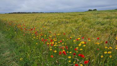 Maison ancienne - Photo 5