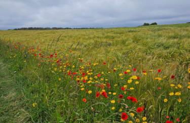 Maison ancienne - Photo 5