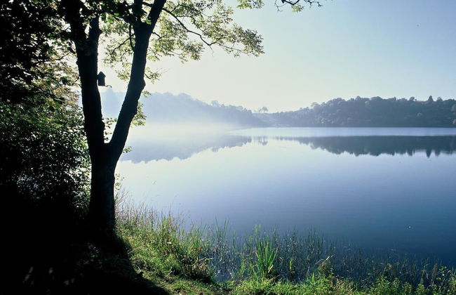Ferienwohnung Seeblick - Foto 14