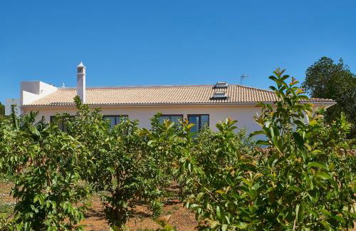 Mercedes Country House - Foto 21