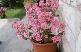 La Residenza di Bacco - Foto 25