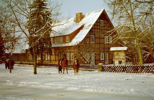 Reit- und Bauernhof Klaucke - Foto 8