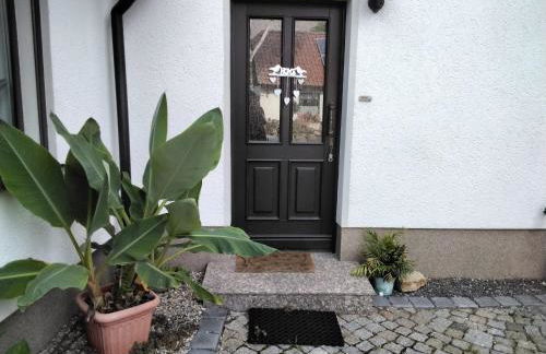 Pusteblume - Foto 14