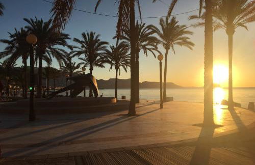 Albir Vacation - Photo 26