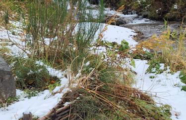 Appartement Mont Dore tout confort, 2 pièces, 4 personnes - Foto 61
