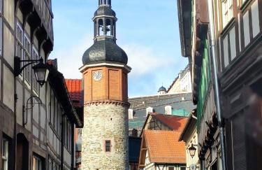 Ferienhaus Blaue Blume mit 11 kW Ladestation, Kamin, Terrasse, eingezäuntem Garten, Sauna, WLAN, Netflix, 2 Hunde willkommen! - Foto 65