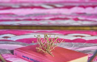 Villa Evenos with private pool - Foto 29