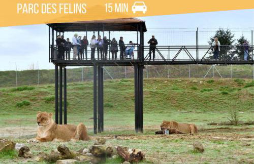 Self Checkin Automatique - 9 min Disney - LE MINNIE - COSYRENTING - Foto 22