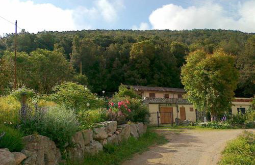 L' Amabile Geko - Foto 1