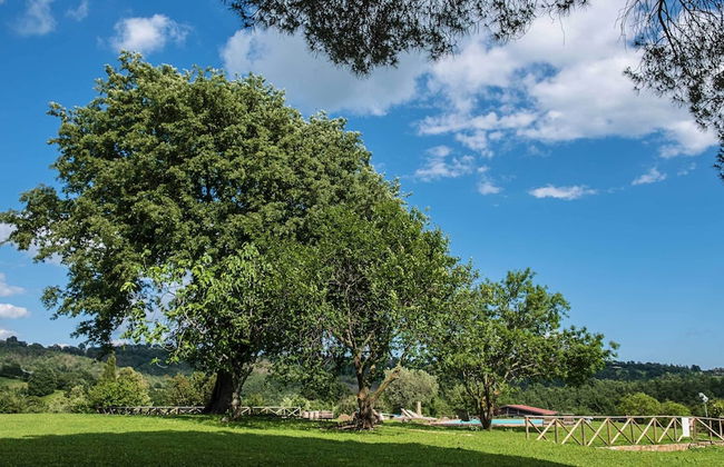 Az Agrituristica Bio Le Macchie Alte - Foto 48