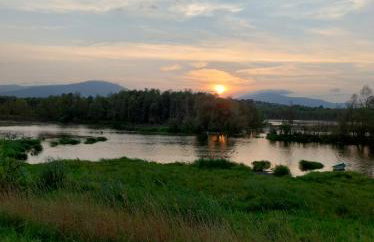 Domek Zgredek - Foto 25