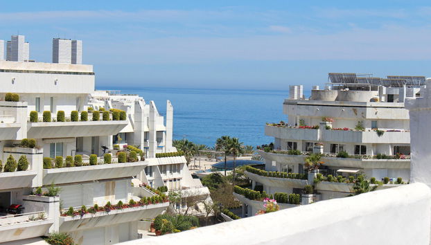 Monarque Sultan - Foto 2