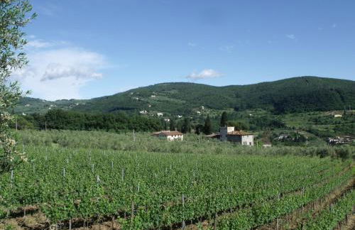 Agriturismo IL VIAIO - Foto 97