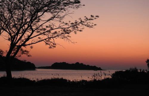 Apartman Milan - Foto 28