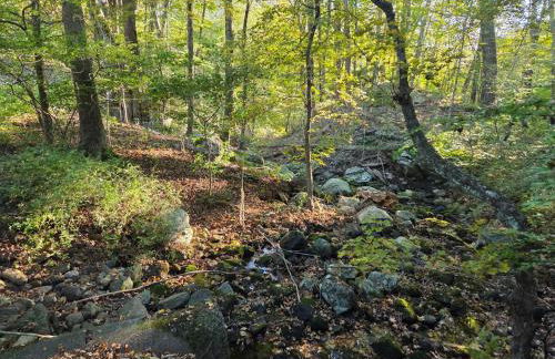 Perch, for work or wandering the Litchfield Hills - Foto 39