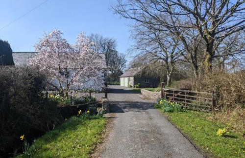 Dryslwyn Cottage - Foto 49