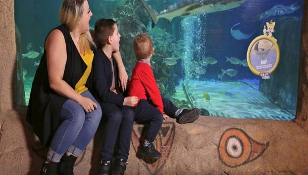 SEA LIFE - Biglietto - Foto 3