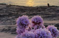 Villa DEA - Photo 12