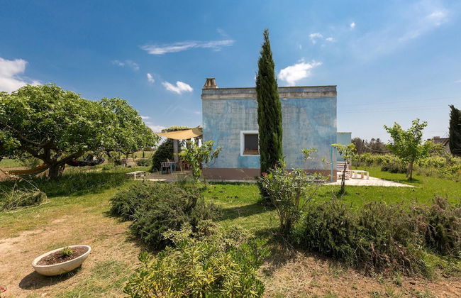 Le Cernicole - Foto 26