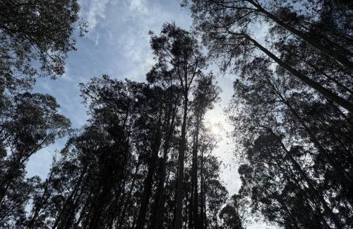 Atalaya Luarca Apartamentos turísticos - Foto 38