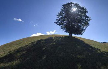 La vecchia stalla - Foto 16
