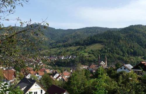 Ferienwohnungen Sonnenhalde mit schöner Aussicht - Foto 53