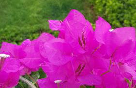 Haraki Mare Studios beach front - Foto 73