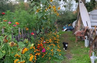 Himmelreich Rügen - Foto 54