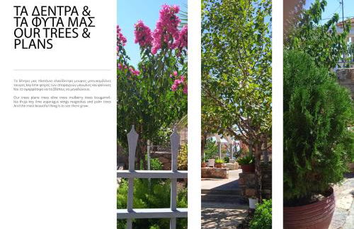 Paul's house - Photo 12