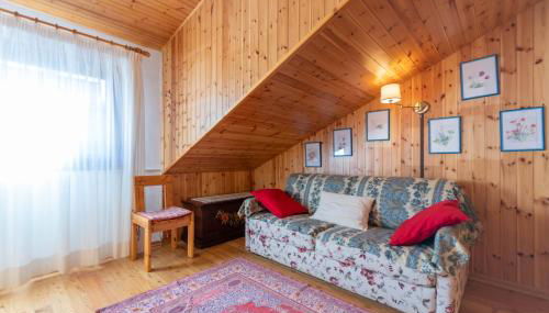 Petit Arnica - Foto 4