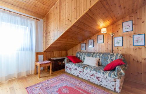 Petit Arnica - Foto 4