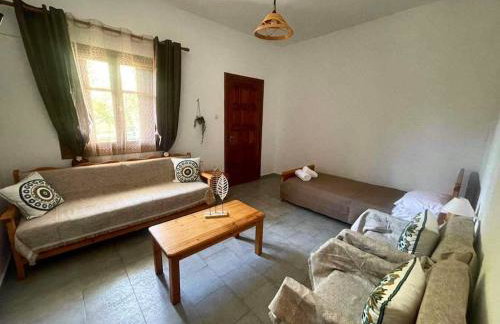 Zirganos Horton Pelion Apartments 1 - Foto 3