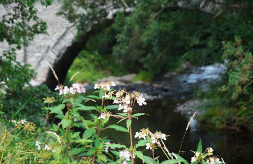 Dol Y Mynydd The Mountain Meadow - Cottage - Photo 34