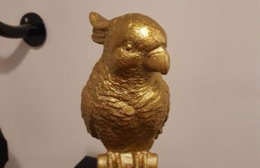 Schalke GelsenkirchenSie wollen Günstig und KomfortabelWir auch für unsere bestenDie Gäste - Foto 25