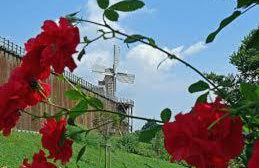 Sonniges Studio im Haus Deutsch Krone - Foto 29