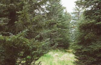 Lakeshore Lodging Apartment G - Foto 37