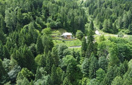 Maso Moretto - Foto 10