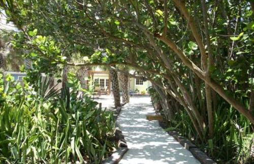 Large Oceanfront Property wPool 8br sleeps 24 - Foto 33