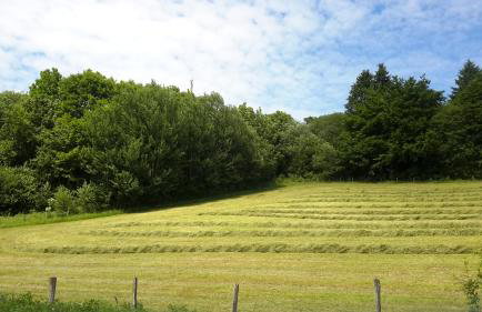 Niedersfeld Polzweg - Foto 11
