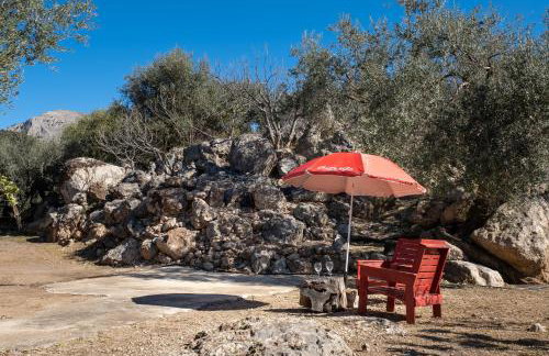 Cortijo Salva - Foto 25