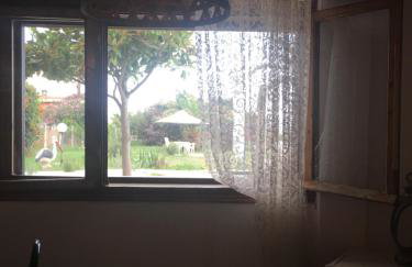 SAINT IOANNIS APARTMENTS ON THE BEACH - Photo 14