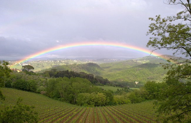 B&B La Fonte del Machiavelli - Foto 41