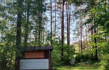 Domek Leśny Zakątek z klimatyzacją - Foto 10