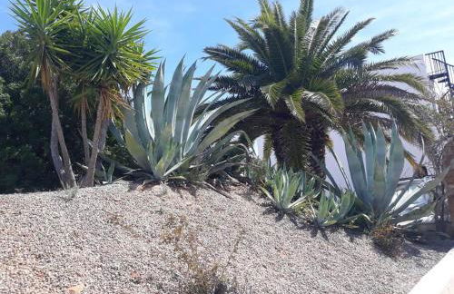 Bella Luna 3 - 2023 neu renoviert - Foto 21