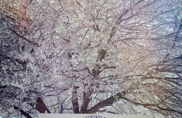 Cozy Wintertime Nantucket Cottage Getaway - Foto 24