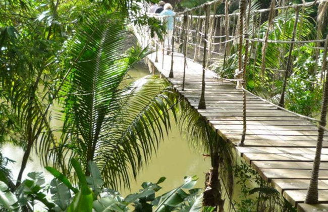 Escursione a Gumbalimba Park - Foto 1