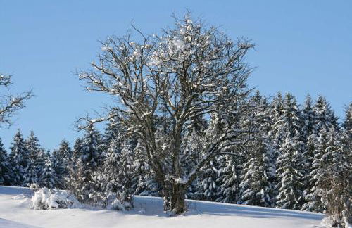 Haus Allgäu Ruh - Foto 22